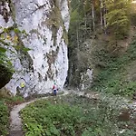 Felsenfest בית נופש