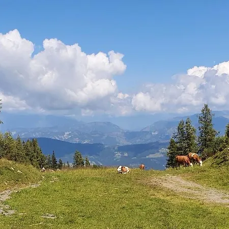 Felsenfest Vakantiehuis Kotschach-Mauthen