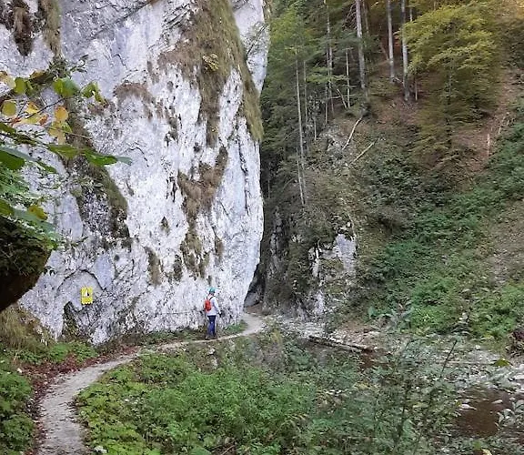 Felsenfest Dom wakacyjny